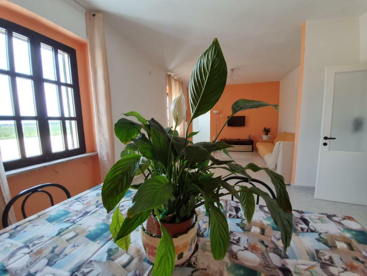 לינה וארוחת בוקר קמפומרינו Il Casale Di Zi'Leo מראה חיצוני תמונה